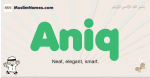 Aniq muslim boys name and meaning, islamic boys name Aniq