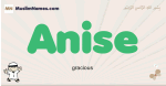 Anise muslim boys name and meaning, islamic boys name Anise