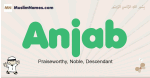 Anjab muslim boys name and meaning, islamic boys name Anjab