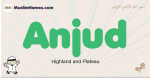 Anjud muslim boys name and meaning, islamic boys name Anjud