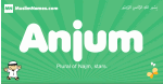 Anjum arabic boys name and meaning, quranic boys name Anjum
