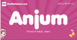 Anjum arabic girls name and meaning, quranic girls name Anjum