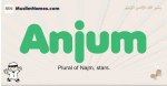 Anjum muslim boys name and meaning, islamic boys name Anjum