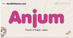Anjum muslim girls name and meaning, islamic girls name Anjum
