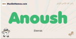 Anoush muslim boys name and meaning, islamic boys name Anoush