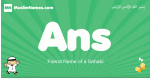 Ans arabic boys name and meaning, quranic boys name Ans