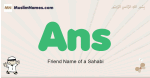 Ans muslim boys name and meaning, islamic boys name Ans