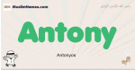 Antony muslim boys name and meaning, islamic boys name Antony