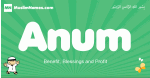 Anum arabic boys name and meaning, quranic boys name Anum