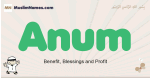 Anum muslim boys name and meaning, islamic boys name Anum