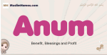 Anum muslim girls name and meaning, islamic girls name Anum
