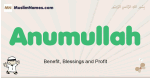 Anumullah muslim boys name and meaning, islamic boys name Anumullah