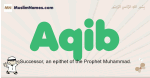 Aqib muslim boys name and meaning, islamic boys name Aqib