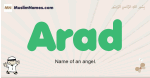 Arad muslim boys name and meaning, islamic boys name Arad