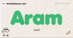 Aram muslim boys name and meaning, islamic boys name Aram