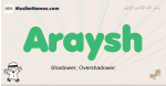 Araysh muslim boys name and meaning, islamic boys name Araysh
