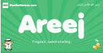 Areej arabic boys name and meaning, quranic boys name Areej