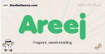 Areej muslim boys name and meaning, islamic boys name Areej