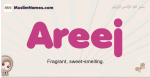 Areej muslim girls name and meaning, islamic girls name Areej