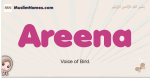 Areena muslim girls name and meaning, islamic girls name Areena