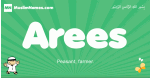 Arees arabic boys name and meaning, quranic boys name Arees