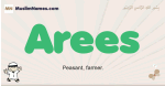 Arees muslim boys name and meaning, islamic boys name Arees