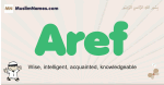 Aref muslim boys name and meaning, islamic boys name Aref