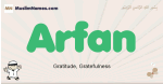 Arfan muslim boys name and meaning, islamic boys name Arfan