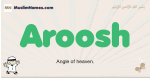 Aroosh muslim boys name and meaning, islamic boys name Aroosh