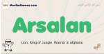 Arsalan muslim boys name and meaning, islamic boys name Arsalan