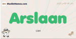 Arslaan muslim boys name and meaning, islamic boys name Arslaan
