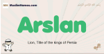 Arslan muslim boys name and meaning, islamic boys name Arslan