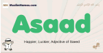 Asaad muslim boys name and meaning, islamic boys name Asaad