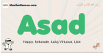 Asad muslim boys name and meaning, islamic boys name Asad