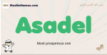 Asadel muslim boys name and meaning, islamic boys name Asadel