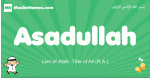 Asadullah arabic boys name and meaning, quranic boys name Asadullah