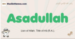 Asadullah muslim boys name and meaning, islamic boys name Asadullah