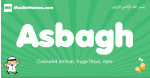 Asbagh arabic boys name and meaning, quranic boys name Asbagh