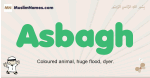 Asbagh muslim boys name and meaning, islamic boys name Asbagh