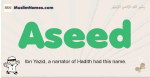 Aseed muslim boys name and meaning, islamic boys name Aseed