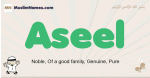 Aseel muslim boys name and meaning, islamic boys name Aseel