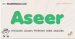 Aseer muslim boys name and meaning, islamic boys name Aseer