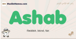 Ashab muslim boys name and meaning, islamic boys name Ashab