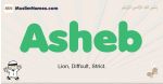 Asheb muslim boys name and meaning, islamic boys name Asheb
