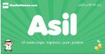 Asil arabic boys name and meaning, quranic boys name Asil