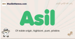Asil muslim boys name and meaning, islamic boys name Asil