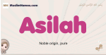 Asilah muslim girls name and meaning, islamic girls name Asilah