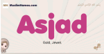 Asjad muslim girls name and meaning, islamic girls name Asjad