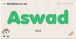 Aswad muslim boys name and meaning, islamic boys name Aswad