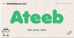 Ateeb muslim boys name and meaning, islamic boys name Ateeb